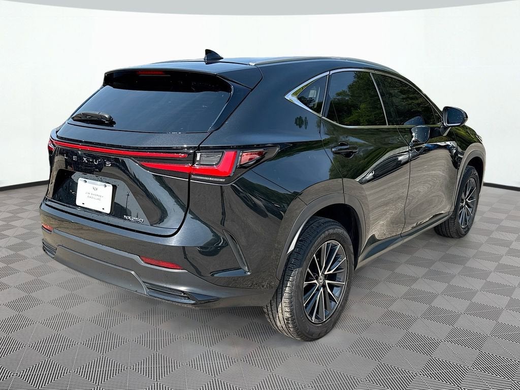 2023 Lexus NX NX 250