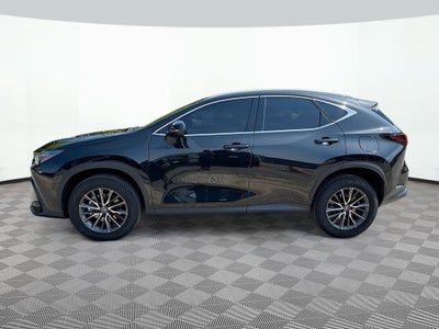 2023 Lexus NX NX 250