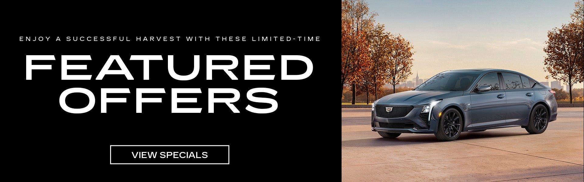 October Specials